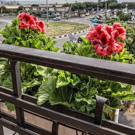 Airport House B&B 4*