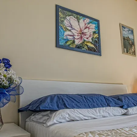 Airport House Bed and Breakfast