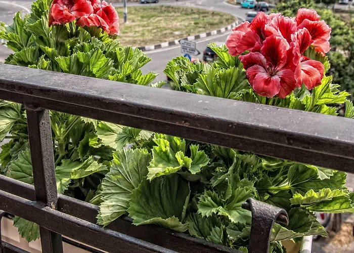 Airport House Oda ve Kahvaltı 4*